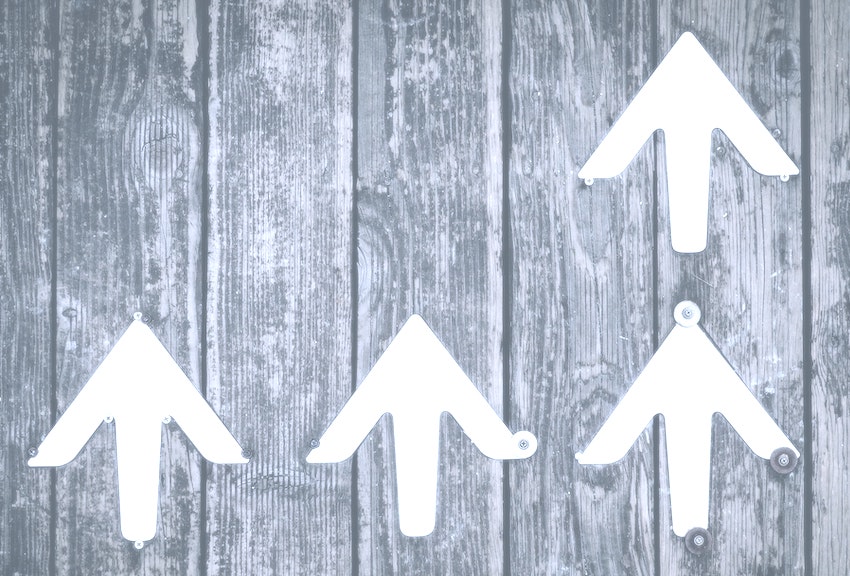 Windows and Doorways : On Perspective