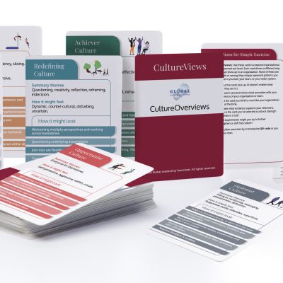 CultureViews Facilitator Pack (6 boxes)